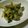 ☆しょーこ☆'s cooksnap of when they made 砂肝塩麹炒め.