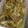 asa89's cooksnap of when they made モノグサさんの簡単しょうゆ焼きうどん.
