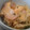 ｺｱﾗ's cooksnap of when they made 受験生のごはん: 木の葉丼.