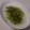 ＊まめゴマ＊'s cooksnap of when they made お茶漬けの素で簡単おかゆ.