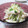 えみんちゅ＊'s cooksnap of when they made ささみとキャベツのサラダ　柚子胡椒あじ.