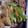 せつみか's cooksnap of when they made 絹さやとちくわのバター醤油炒め.