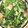 ケトユア's cooksnap of when they made 絶品！小松菜とうすあげの煮浸し☆.