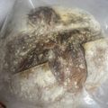 梦华's cooksnap of when they made 捏ねないサワードウブレッド.