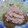 ゆみにゃむ's cooksnap of when they made 一番人気！キムマヨとんかつ.
