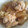 punijuwa's cooksnap of when they made 簡単！うまい！手羽元と冬瓜の中華煮.