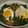 しーしー's cooksnap of when they made ★春菊の楽チンココット★.