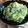 γυмιсо's cooksnap of when they made ＠クリームパスタ＠.