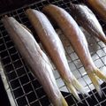 紫君子蘭's cooksnap of when they made カマスの丸干し.