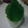 プーニー's cooksnap of when they made 大葉を長持ちさせる保存法.