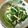 まみんちよ's cooksnap of when they made 春菊とえのきの柚子胡椒おひたし.