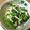 まみんちよ's cooksnap of when they made 春菊とえのきの柚子胡椒おひたし.