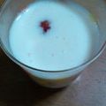 precepter's cooksnap of when they made ☆お豆腐とヨーグルトでレアチーズ風☆.