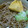 うずまきぃ's cooksnap of when they made つゆが絶品☆おろしきつね納豆そば.