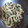 syumama's cooksnap of when they made ☆茹でいかの簡単和え☆.