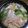 ダ〜ごはん's cooksnap of when they made 週末しょうゆちゃんこ鍋.