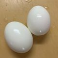 R2016's cooksnap of when they made 水は1cm殻はつるんっ！超シンプルゆで卵.