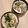 アクセル☆'s cooksnap of when they made 豆苗入り・舞茸と里芋の味噌ミルクスープ.