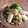 ayureo's cooksnap of when they made キノコの餡掛け蕎麦.