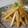 Cookingmam's cooksnap of when they made 大根の皮のバタ炒め.