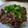 まほじょ's cooksnap of when they made 簡単☆牛肉バター☆大葉のせ.
