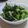 ☆miiyan☆'s cooksnap of when they made 菜の花畑.