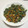 バーボン人生's cooksnap of when they made ご飯のおともに＊大根葉炒め.