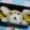 yukanosuke's cooksnap of when they made ミルクちゃん弁当☆キャラ弁♪.
