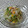 yumiko0321's cooksnap of when they made たっぷり白菜と里芋の簡単美容和風サラダ.