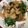 hotaru1234's cooksnap of when they made スイスチャードは絶対ベーコンとバター炒め.