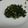 momokochan's cooksnap of when they made 大根葉炒め.