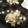 ふわふわわん's cooksnap of when they made 砂肝とエリンギのネギ塩(レモンがけ).