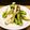 ちべターリー's cooksnap of when they made ししとうとエリンギの塩炒め.
