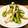 ちべターリー's cooksnap of when they made ししとうとエリンギの塩炒め.