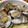 てつや右投げ右打ち's cooksnap of when they made ちょっと一手間でおいしいアサリの酒蒸し.
