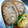 しゅんぺいのママ's cooksnap of when they made 和風☆レンコンのはさみ揚げ.