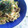 junyoujun's cooksnap of when they made ツナと茸の焼きうどん✿柚子胡椒風味.