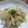 suookiemom's cooksnap of when they made 簡単　ツナとセロリのサラダ.