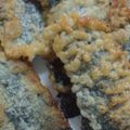 くんぼうまま's cooksnap of when they made 簡単サクサク＊海苔天ぷらスナック♪.