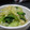 ぽんつ♪'s cooksnap of when they made ちんげん菜でもう一品.
