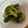 Ms 1112xx's cooksnap of when they made 冷凍ブロッコリーの付け合わせ.