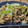 クック1F4EWO☆'s cooksnap of when they made 3種の焼ききのこ バルサミコマリネ.