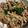 ♩キティ♩'s cooksnap of when they made 焼肉のタレいらず！簡単美味しい♪プルコギ.