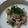 まぶたん's cooksnap of when they made 豚肉の生姜みぞれ煮.