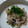 まぶたん's cooksnap of when they made 豚肉の生姜みぞれ煮.