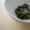 principito's cooksnap of when they made ほうれん草のおひたしに柚子胡椒.