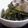 ayamon♪'s cooksnap of when they made かぶの葉のナムル.