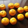 チヒナコ's cooksnap of when they made みかんを甘くする方法。.