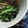 バーバラふくだ's cooksnap of when they made あと一品♪かぶの葉＆ベーコンでご飯のお供.