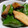 myukitty's cooksnap of when they made ししとうとエリンギの塩炒め.